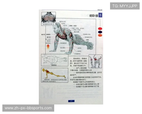 锻炼腿部力量的健身器材全套清单及使用说明